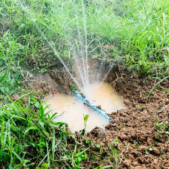 Signs of water line leak in Paramount